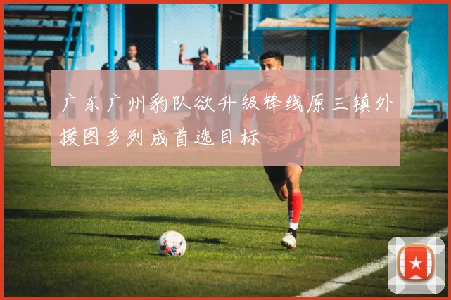 广东广州豹队欲升级锋线原三镇外援图多列成首选目标