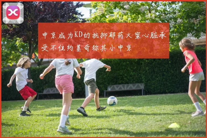 申京成为KD的抗抑郁药火蜜心脏承受不住约基奇称其小申京