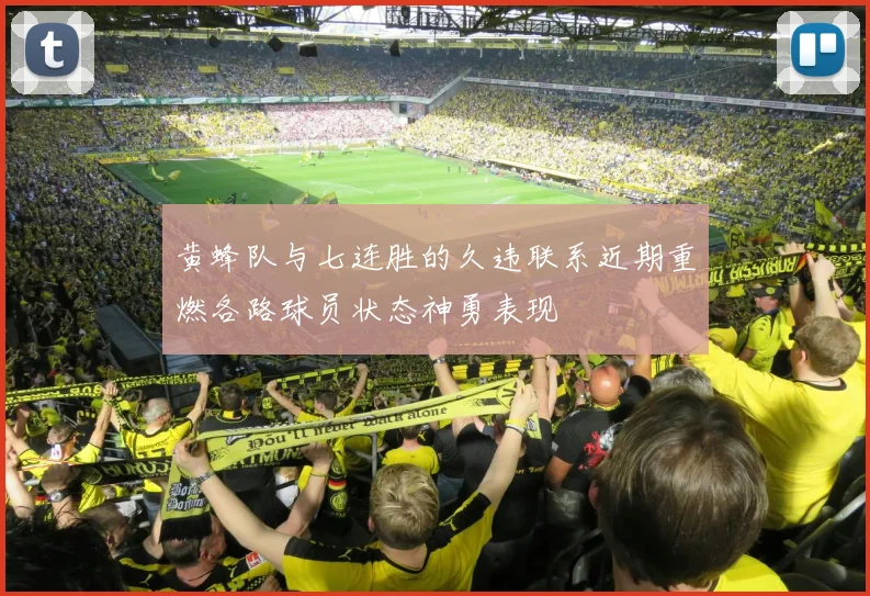 黄蜂队与七连胜的久违联系近期重燃各路球员状态神勇表现